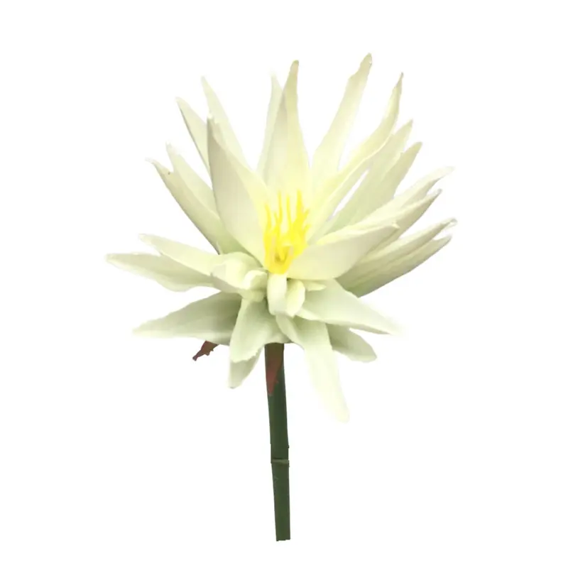 Manufacturer of Durable Simulated Corolla from PVC02k0w