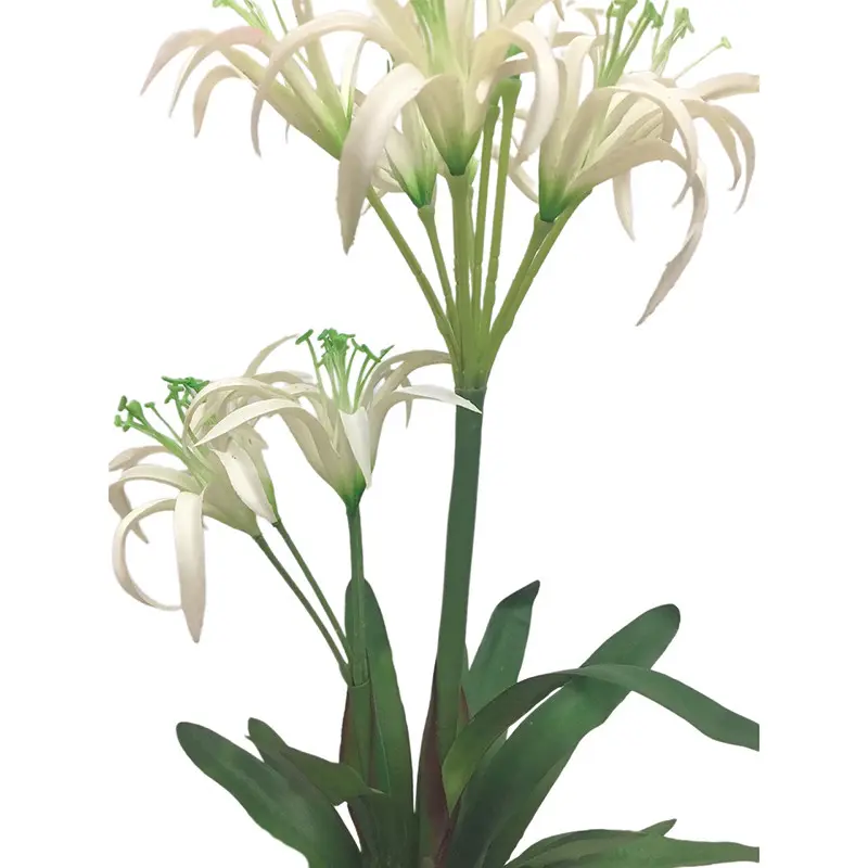 Factory-Direct Wholesale Amaryllis amaryllis Artificial Flowers11i5f