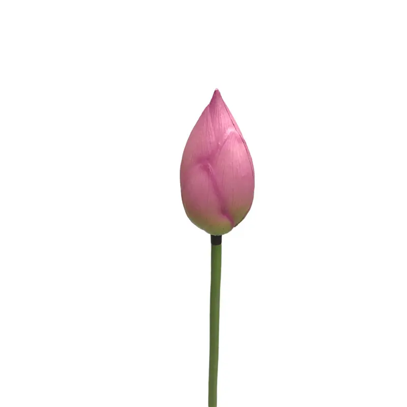 High-touch PVC Lotus Fruit04ilj