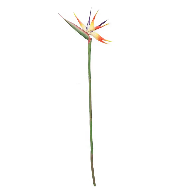 Factory Supplier: High Simulation PVC Bird of Paradise Bonsai