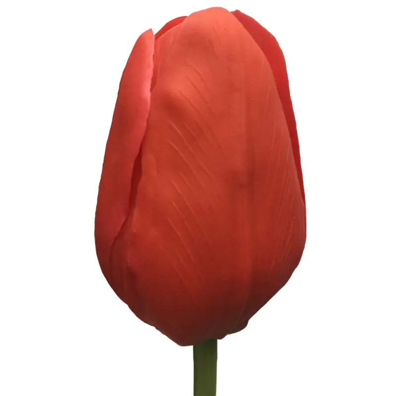 Long-Lasting Faux Tulips9mke