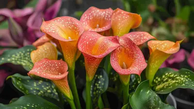 Future Market Insights for Fake Calla Lily in 2025 Globally