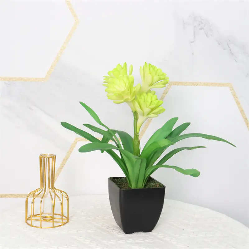 Leading Rubber Tuberose 6279-6-12 (2)4vh