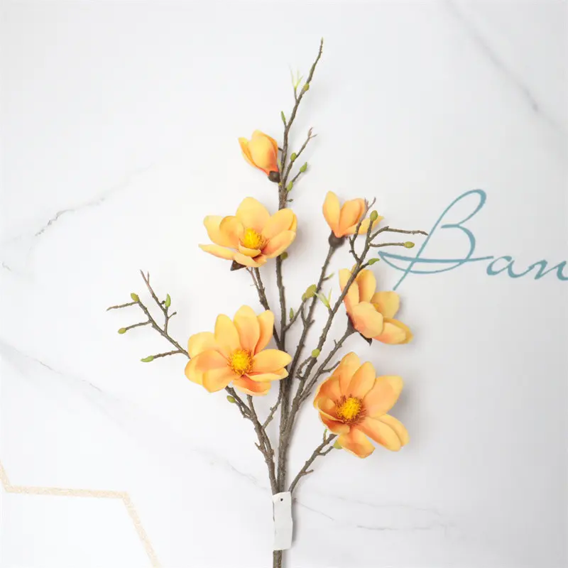 Direct Simulated Magnolia-6077 (6)isy