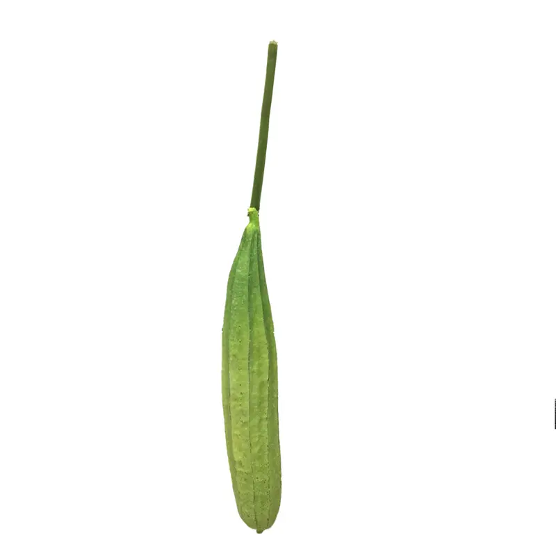 High-Quality PU Simulated Loofah Manufacturers