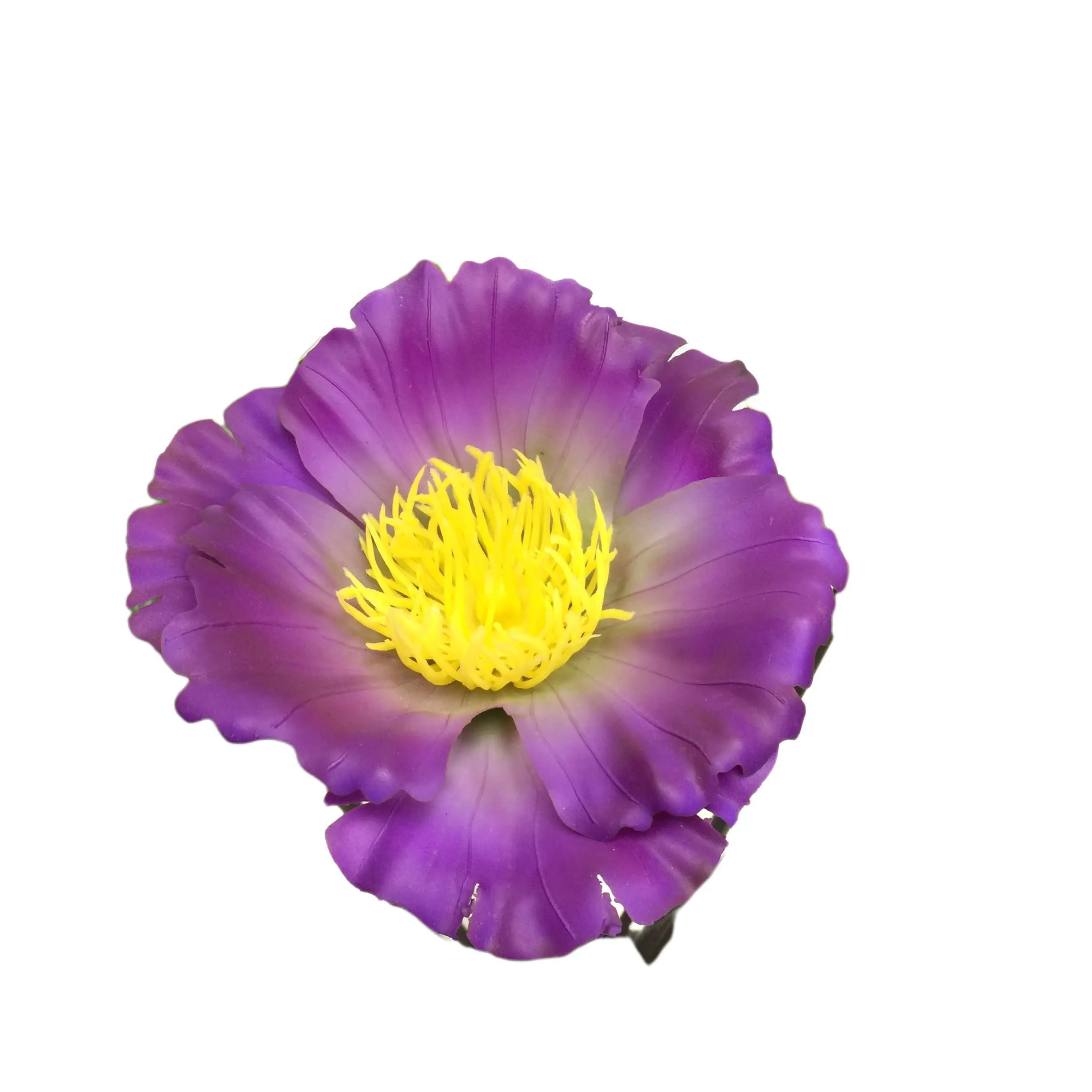 Natural Simulation Artificial Poppy