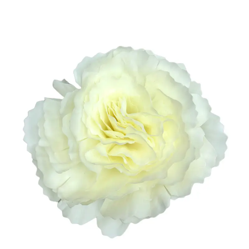 8066Simulation Carnations17n1p
