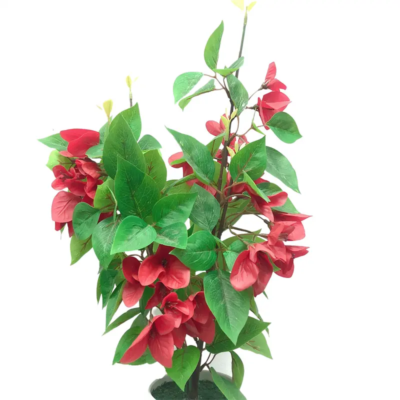 High Quality Delphinium Bonsai: Factory Direct Supplier