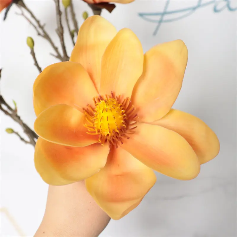 Direct Simulated Magnolia-6077 (1)8ev