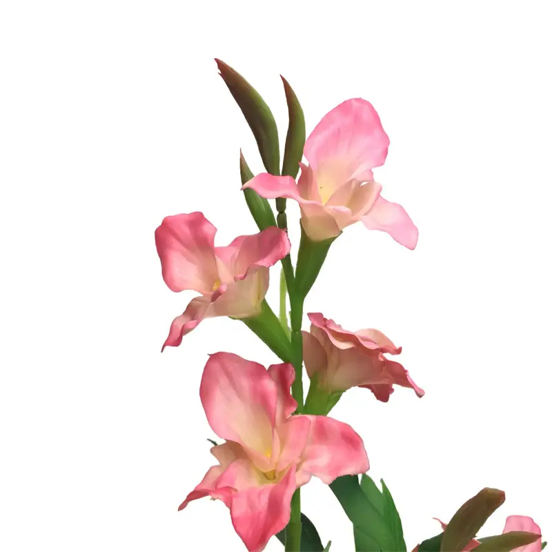 Ginger Flower Bonsai11 (1)n22