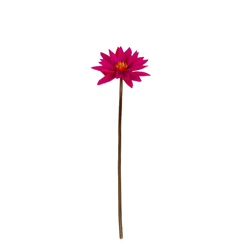 Factory Supplier of Lotus Flower: Waterproof, Environmentally Friendly