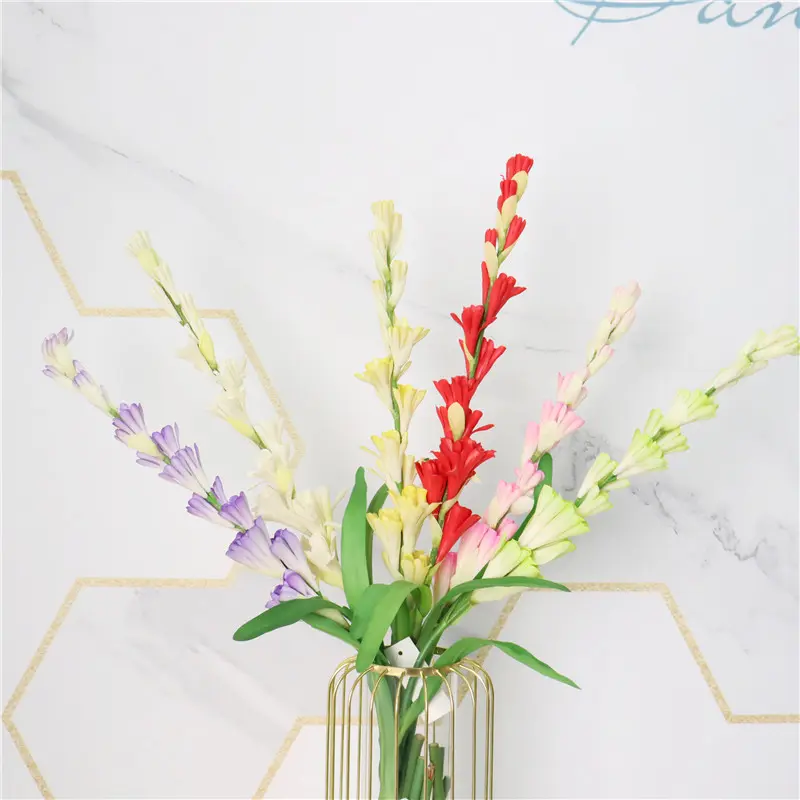 Leading Rubber Tuberose Manufacturer