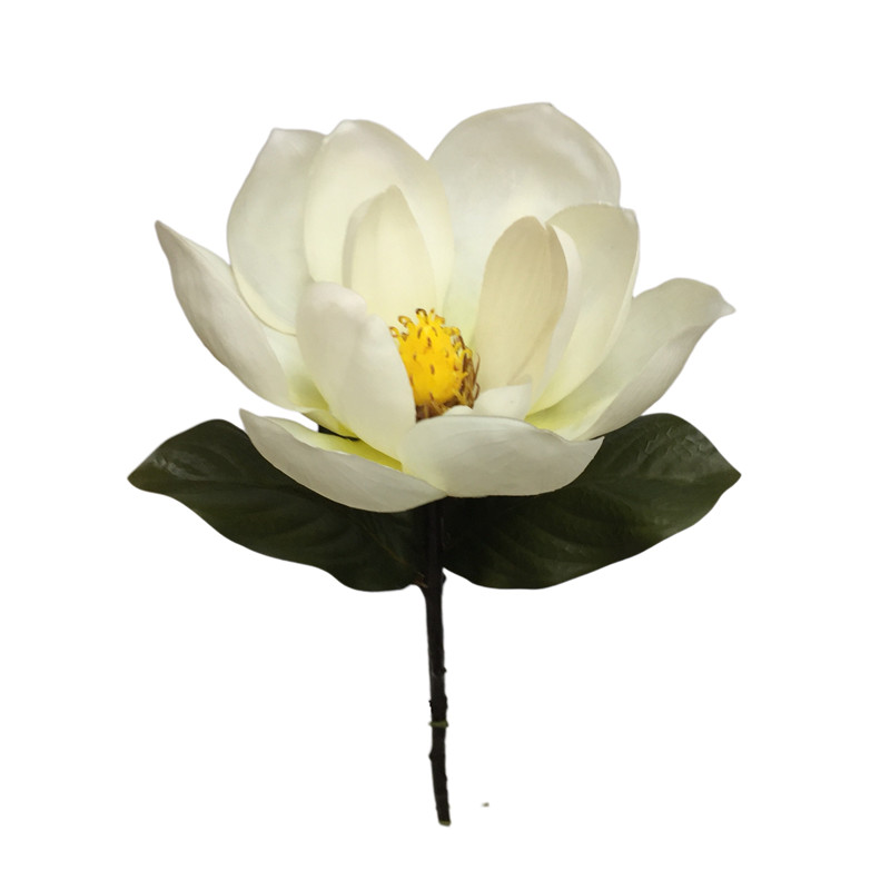 Direct Simulated Magnolia 6048 (1)8y0