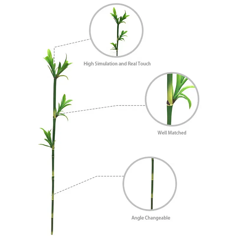 Simulated Bamboo 2148-11 (2)jrt