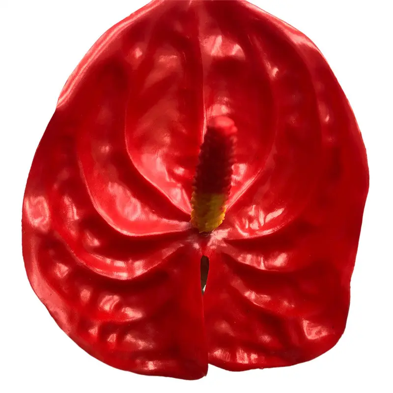 High Simulation Anthurium1102hlv