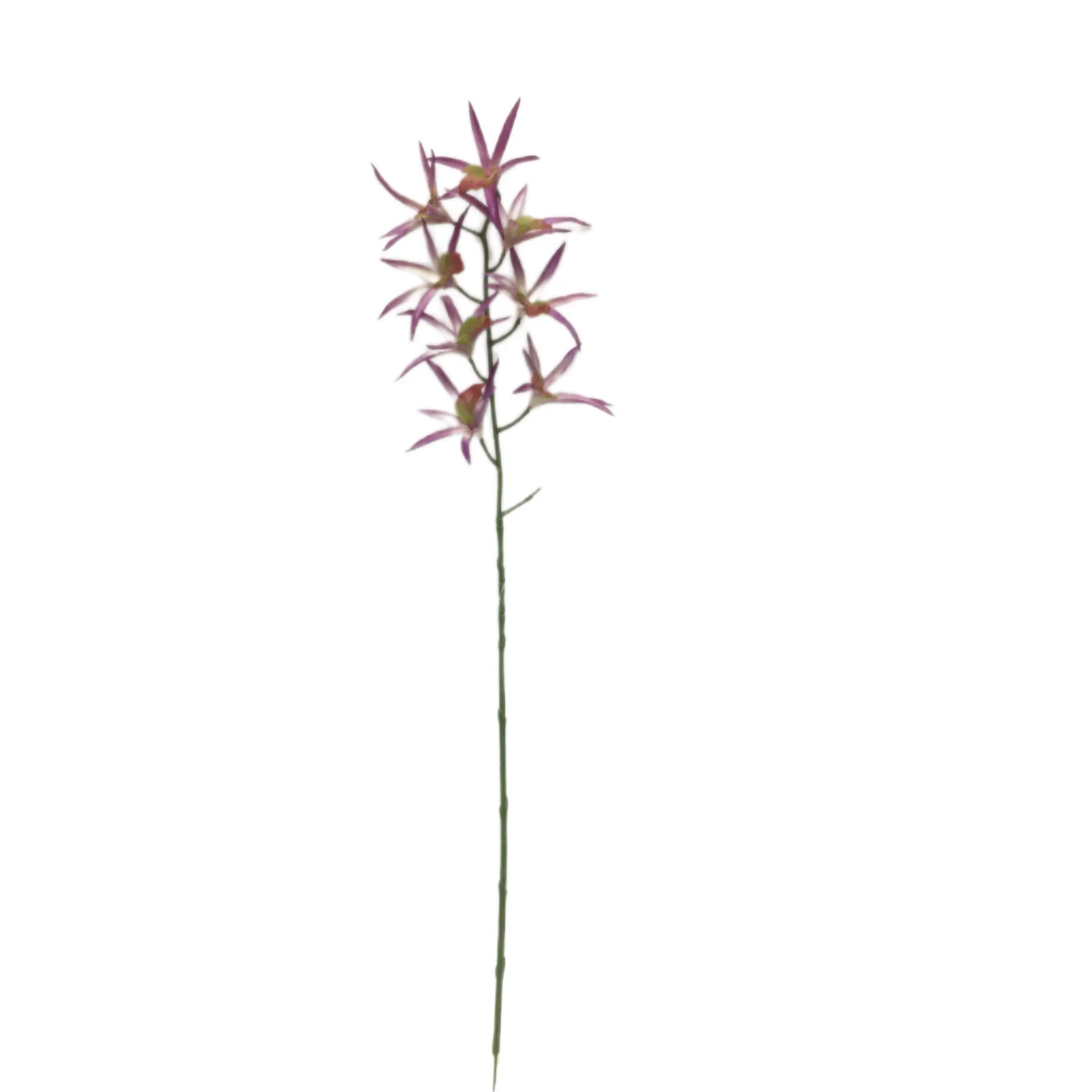 Waterproof Artificial 9 Flower Spider Orchid: Quality Manufacturing