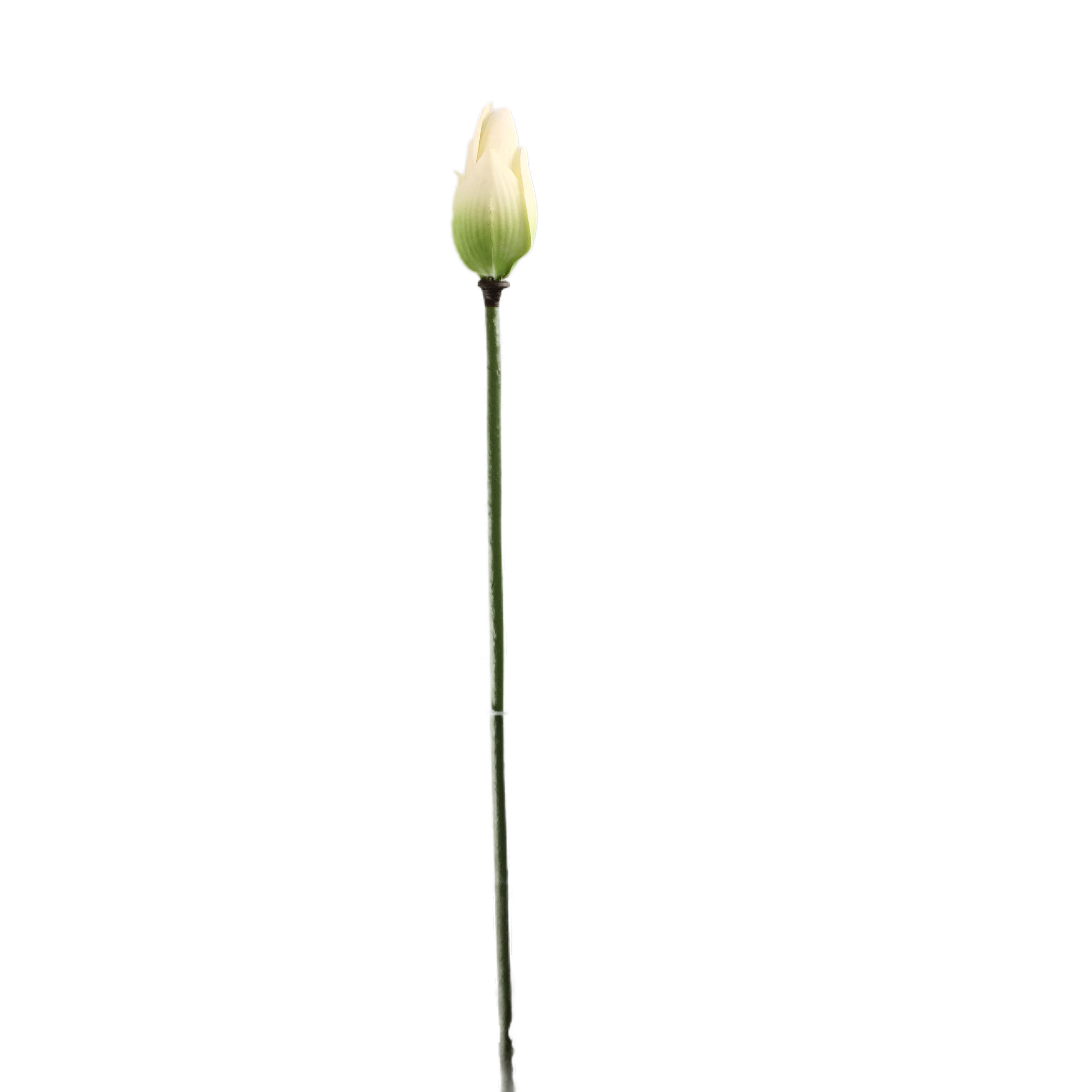 Natural Simulation Lotus Bud Manufacturer