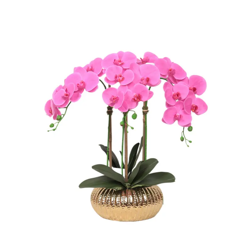 Factory Supplier of High-Simulation Phalaenopsis Bonsai