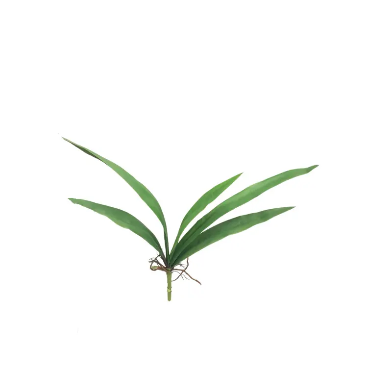 Real Touch Rubber Cymbidium Leaves 6046（1） (2)4i4