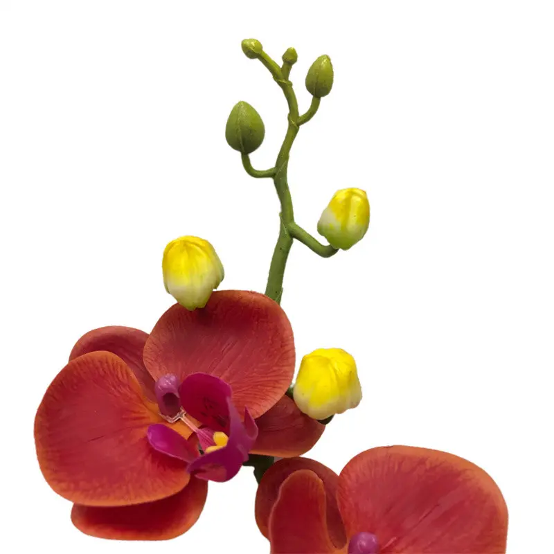 Phalaenopsis artificial flower101a8v