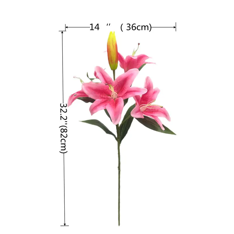 Manufacturer and Supplier of Tiger Orchids