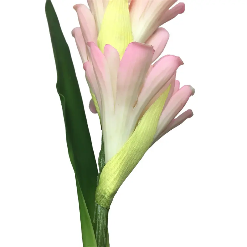 Leading Rubber Tuberose 6059-1 (17)7z9