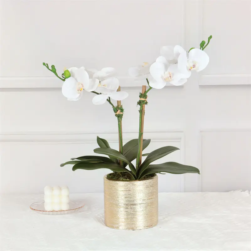 Factory Supplier of High-Quality Phalaenopsis Artificial Flowerk9s