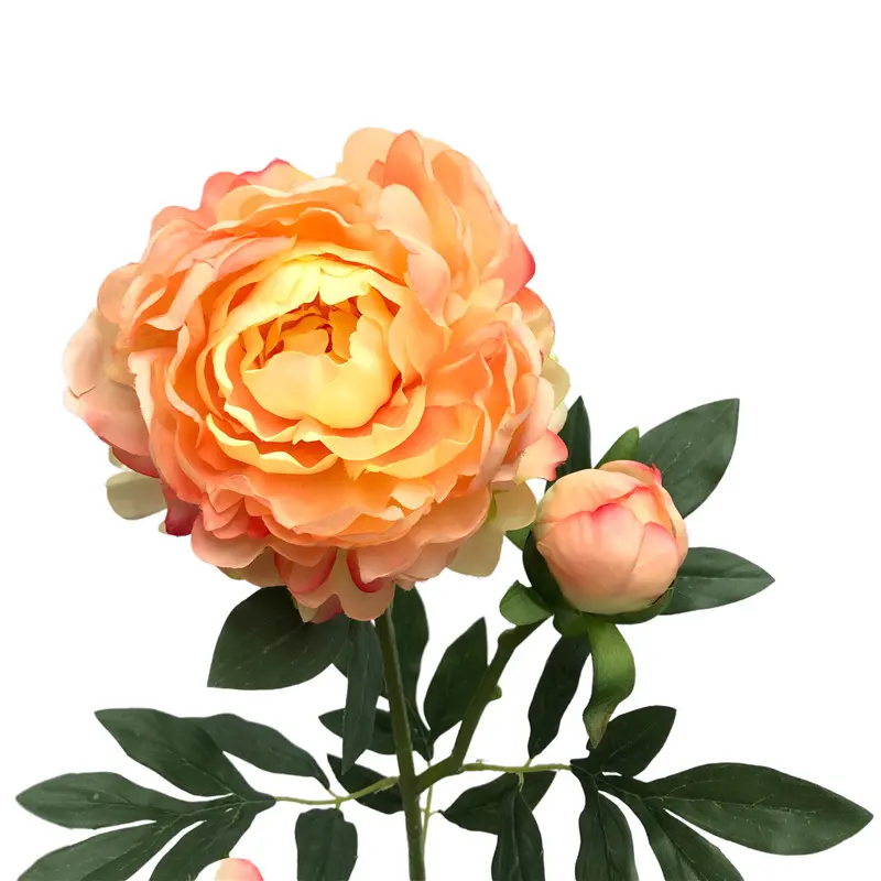 High-Simulation Peony Flower101aop