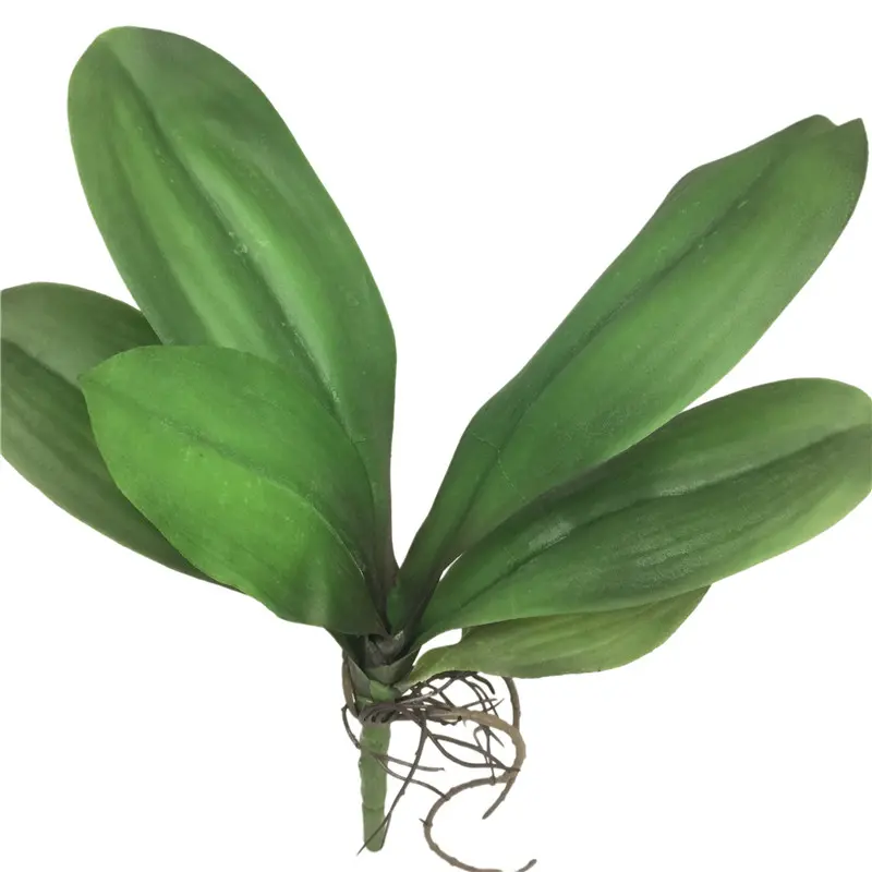Factory Direct Highly Simulated Butterfly Orchid Leaves02bov