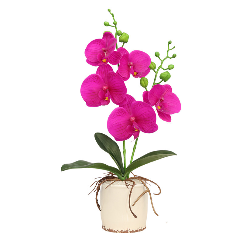 Factory Supplier of High-Simulation Phalaenopsis Bonsai