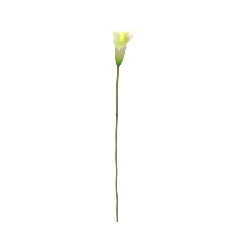 Manufacturer of Waterproof Calla Lily with Natural Simulation