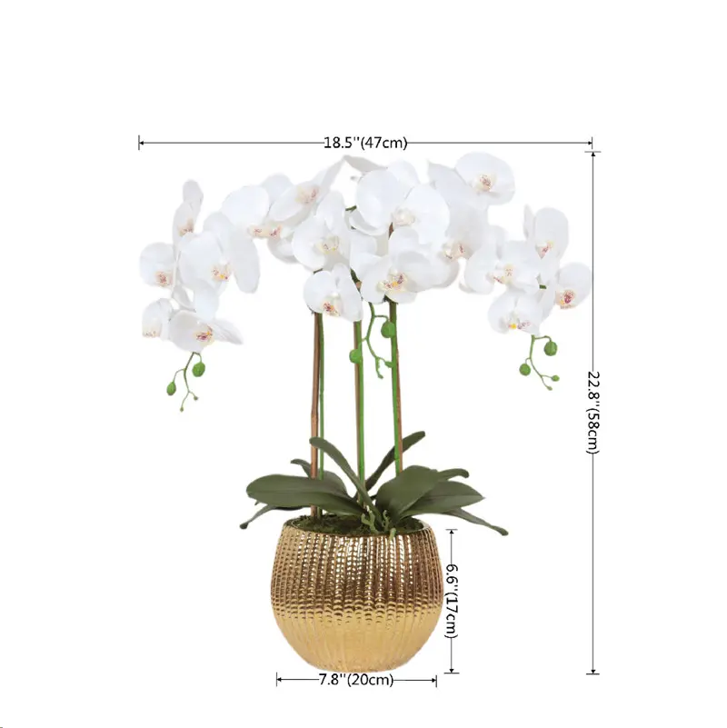Factory Supplier of High-Simulation Phalaenopsis Bonsai