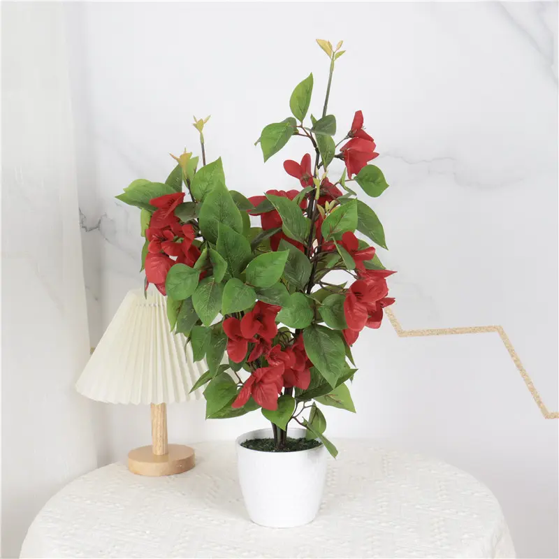 High Quality Delphinium Bonsai: Factory Direct Supplier-product