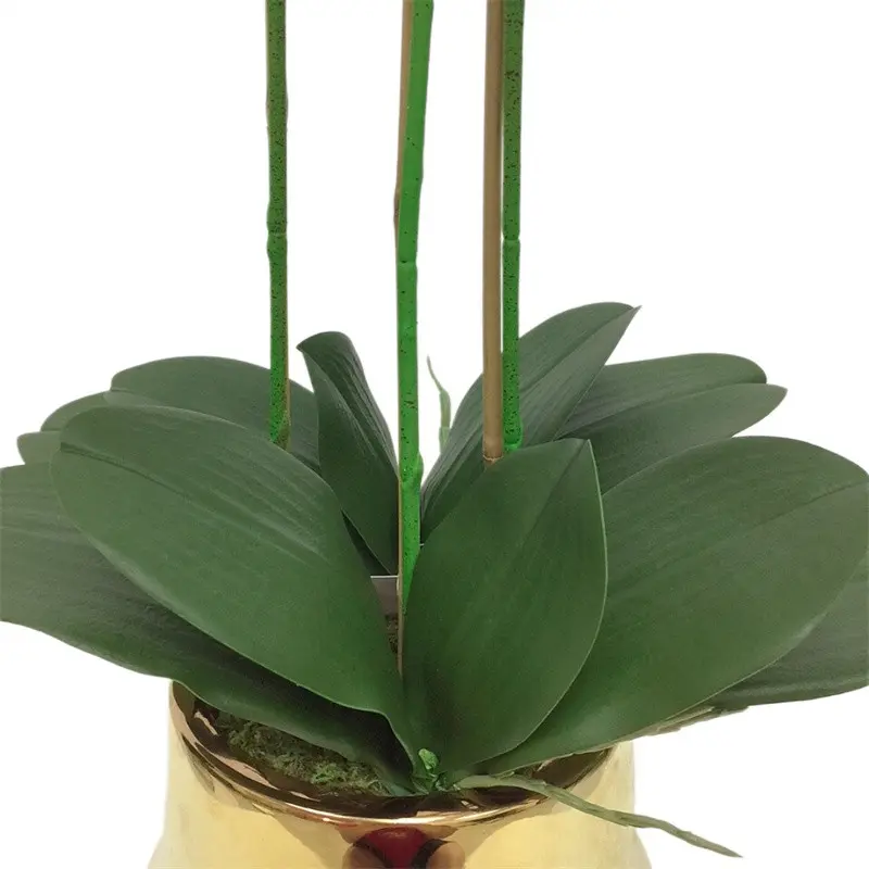 Factory Supplier of High-Quality Phalaenopsis Artificial Flower03wt4