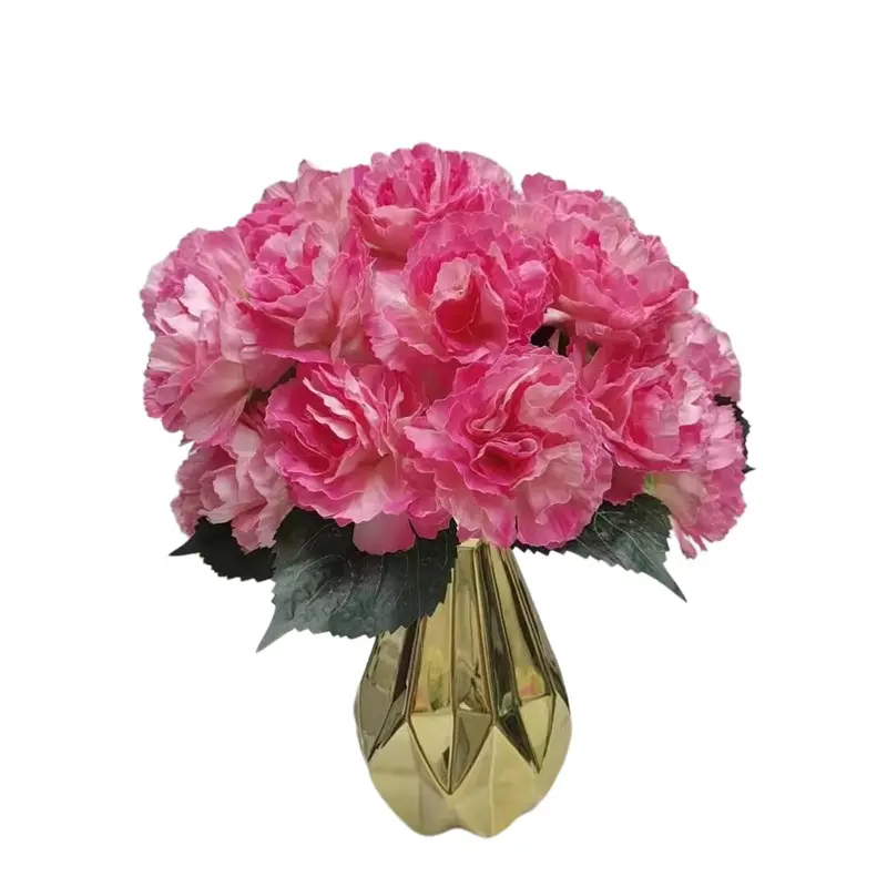 Simulation Carnations20na