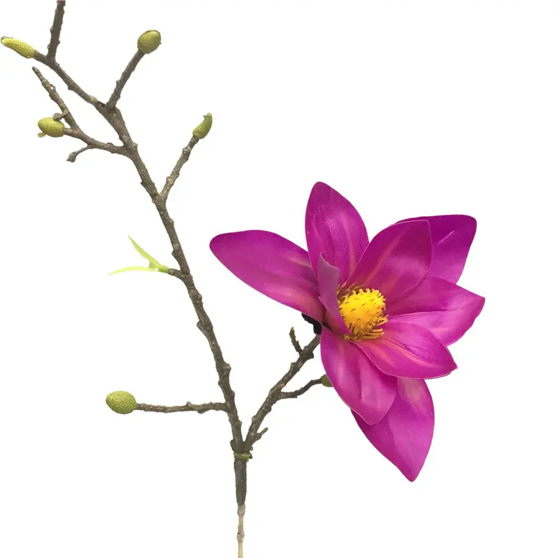 Factory Direct Simulated Magnolia Supplier