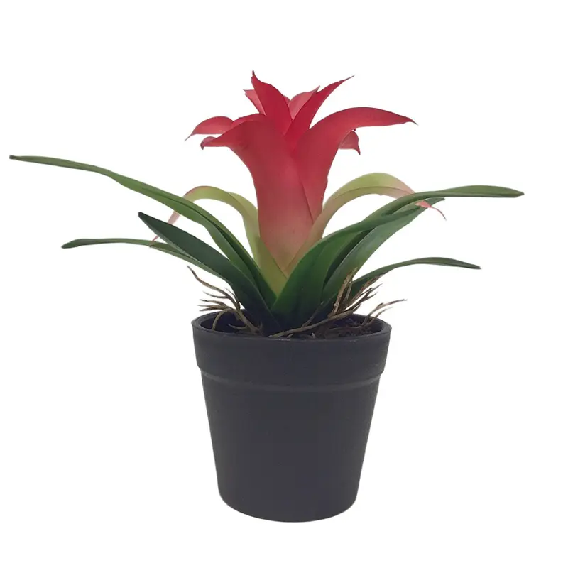 PVC Pineapple Bonsai: Manufacturer of Quality Simulation