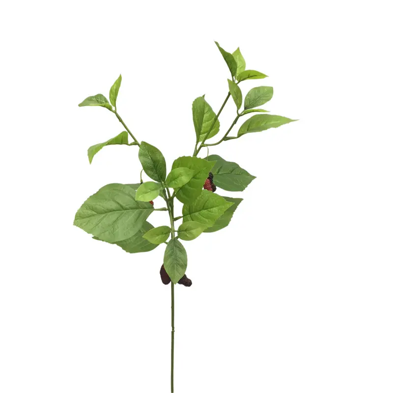 Factory Supplier of High-Quality Mulberry Simulation Flowers