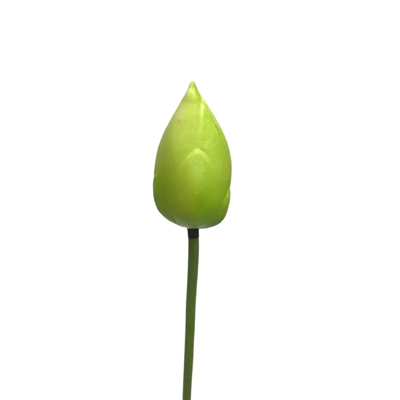 High-touch PVC Lotus Fruit021wf