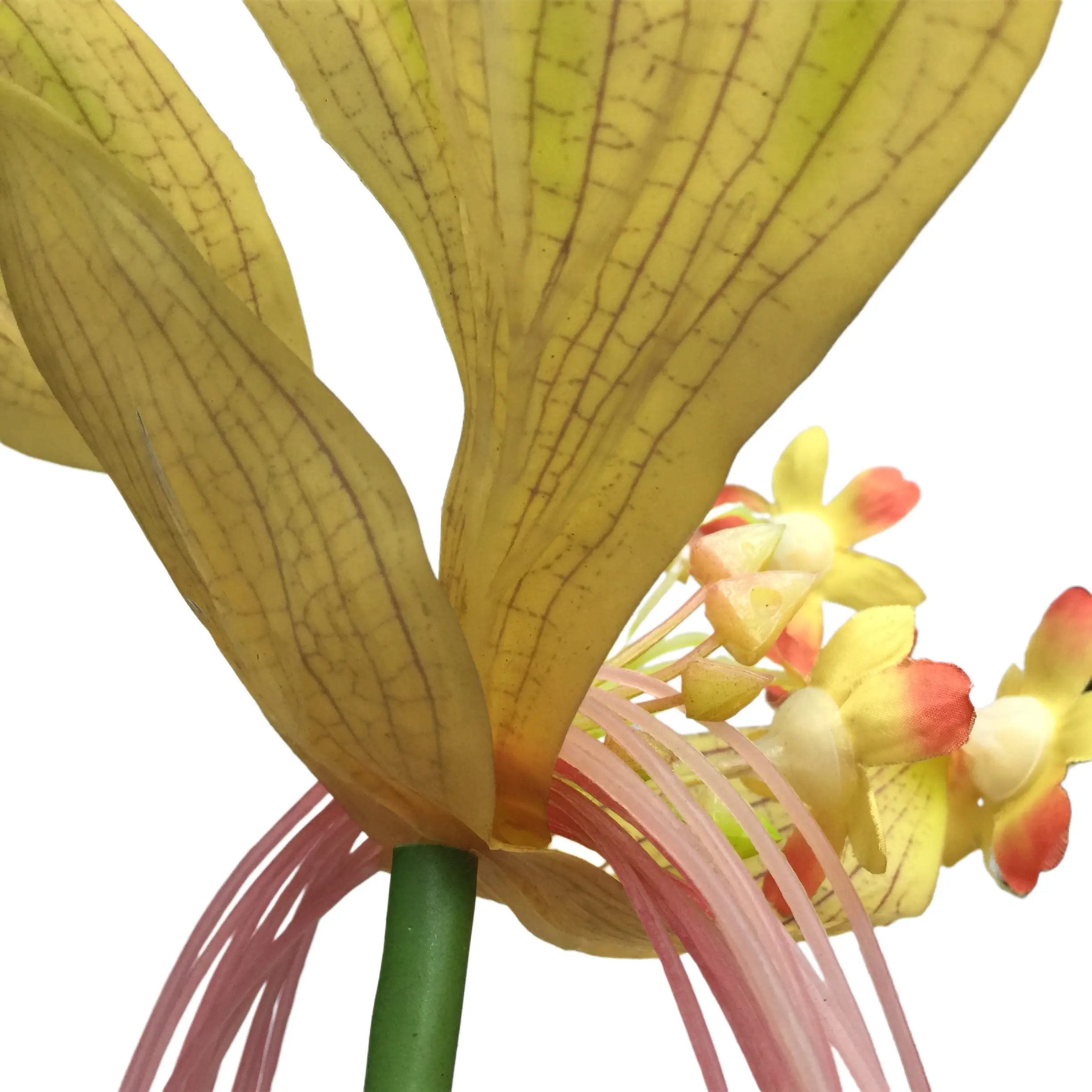 Fortune Cat Flower Manufacturing Waterproof Natural Simulation Flowers