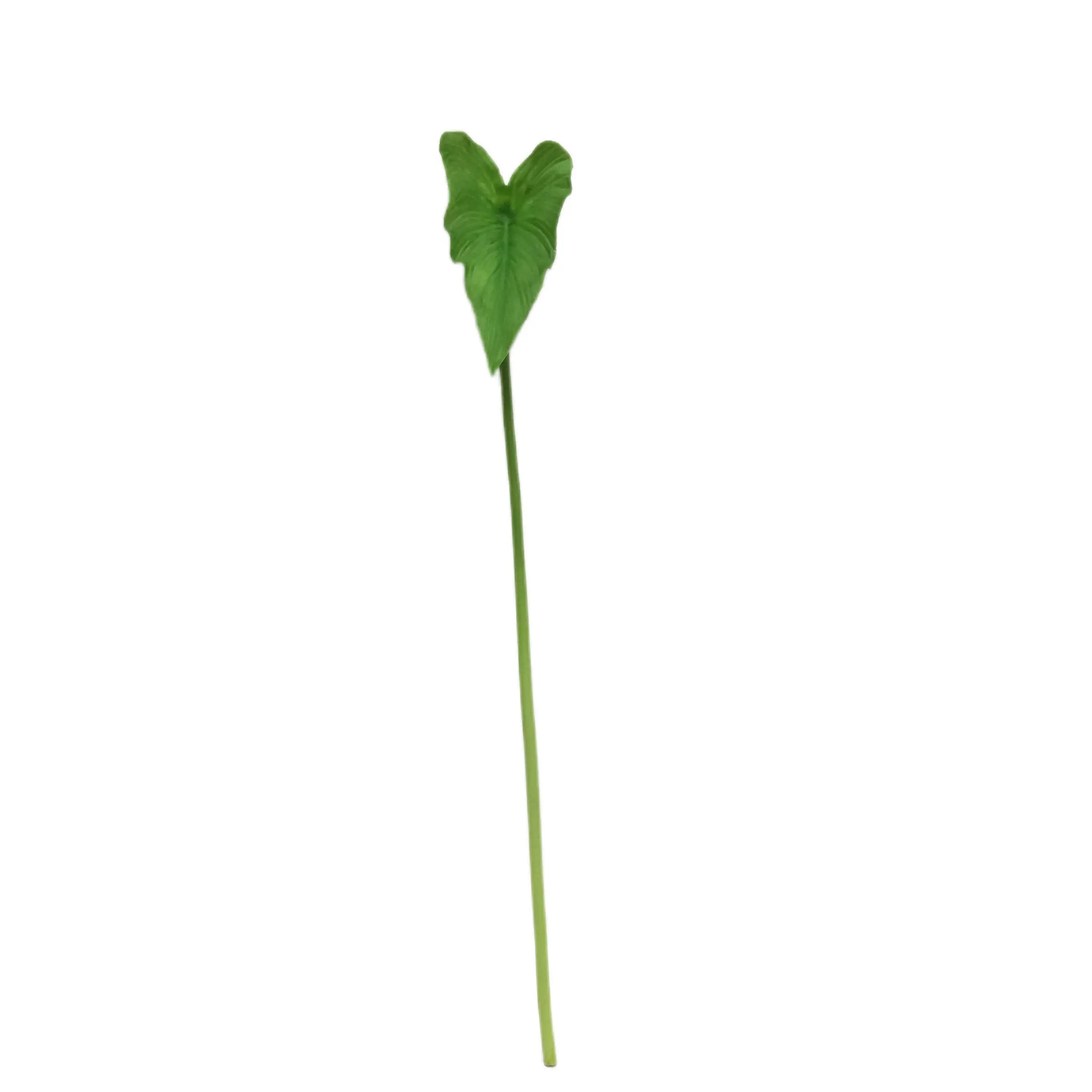 Natural Simulation Horseshoe Leaf Manufacturer