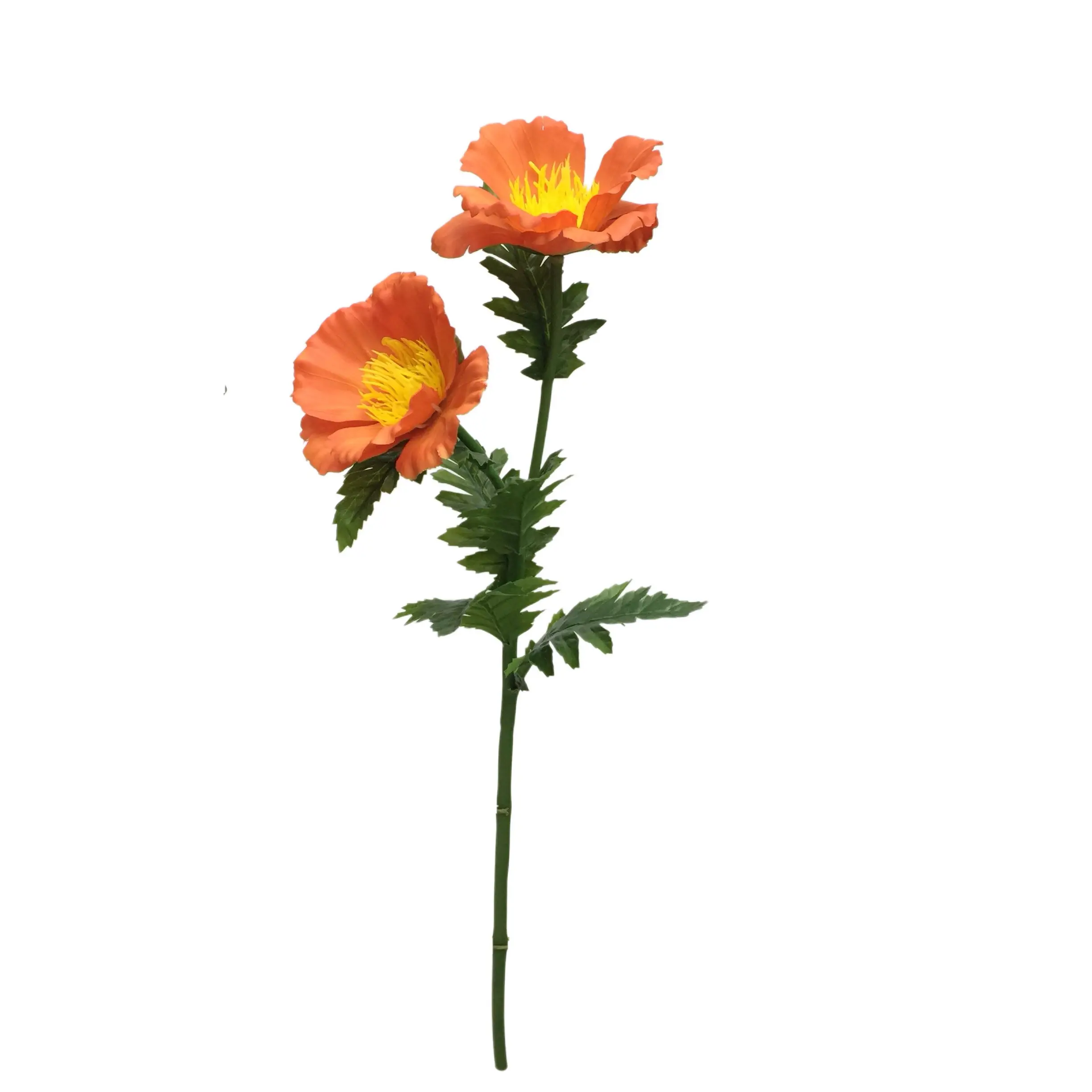 Natural Simulation Artificial Poppy