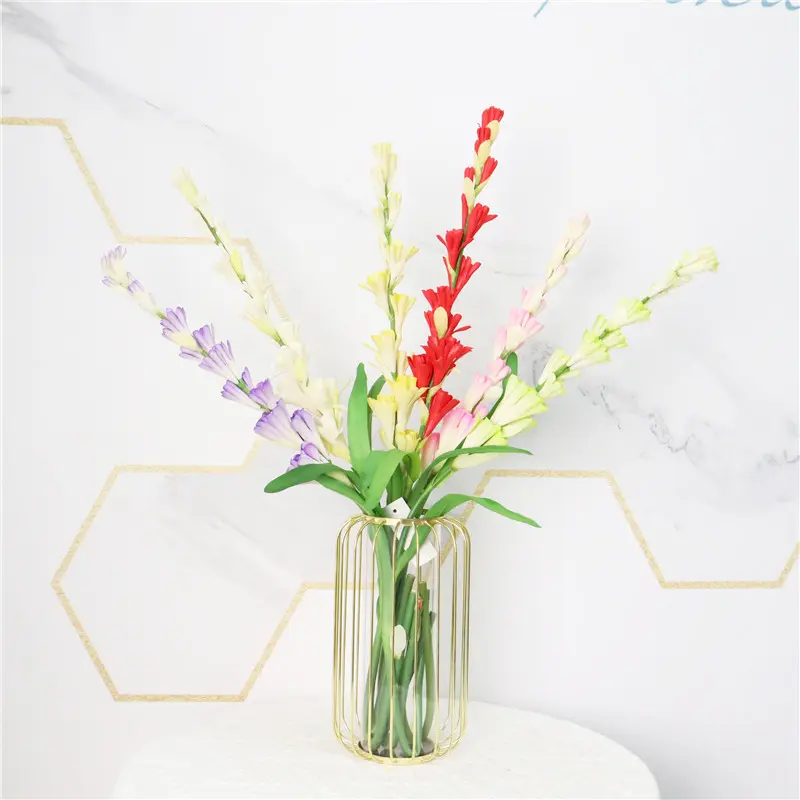 Leading Rubber Tuberose 6059-2 (21)1ci