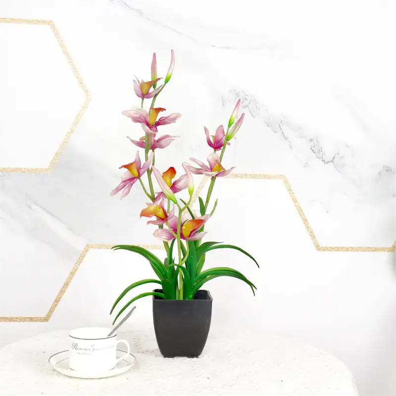 Leading Manufacturer of Waterproof Phalaenopsis