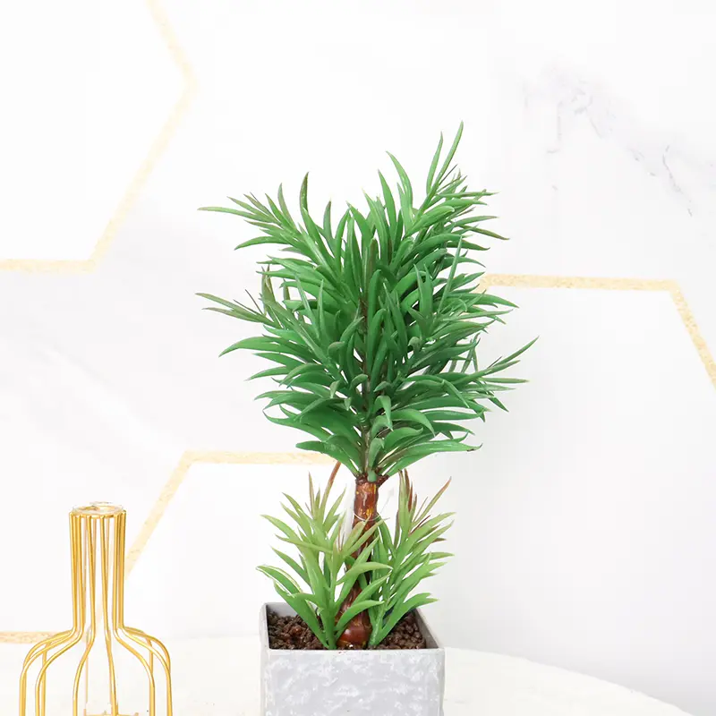 Natural Simulation Podocarpus Manufacturer