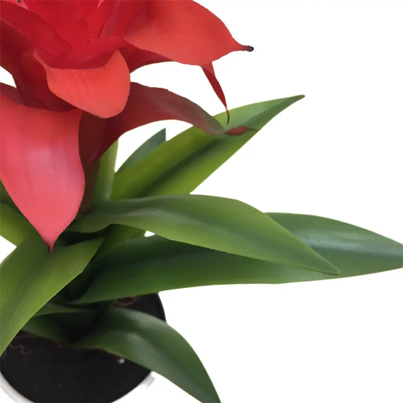 Manufacturer of Quality Simulation123fgg