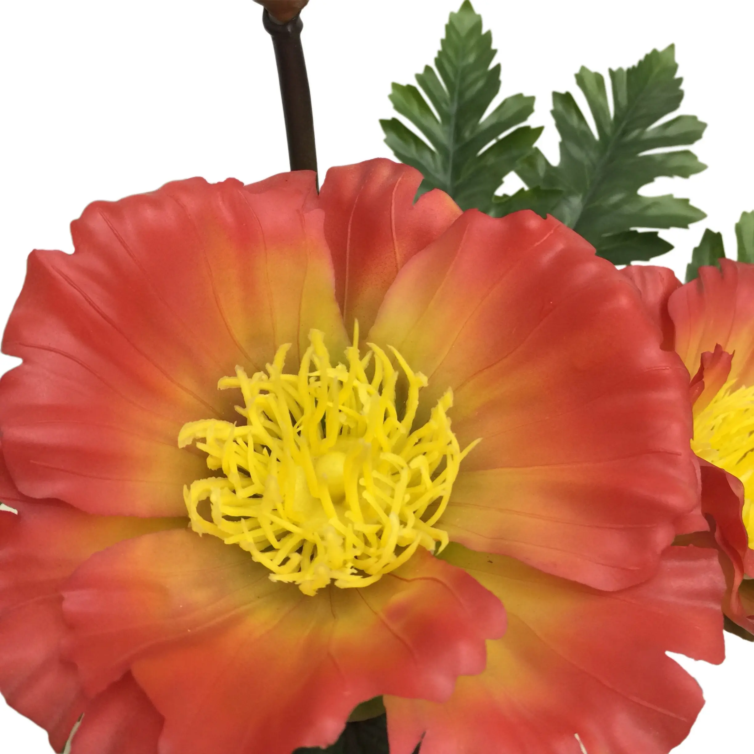 Natural Simulation Artificial Poppy