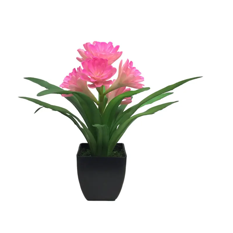 Leading Rubber Tuberose 6279 (4)4e1