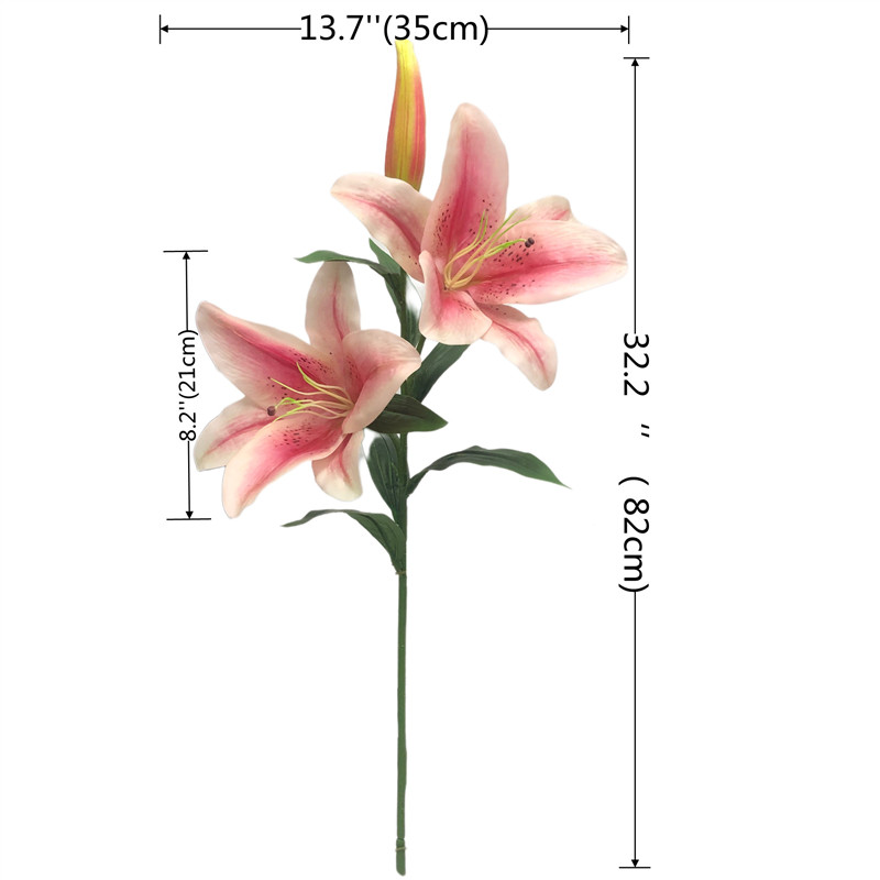 Manufacturer and Supplier of Tiger Orchids