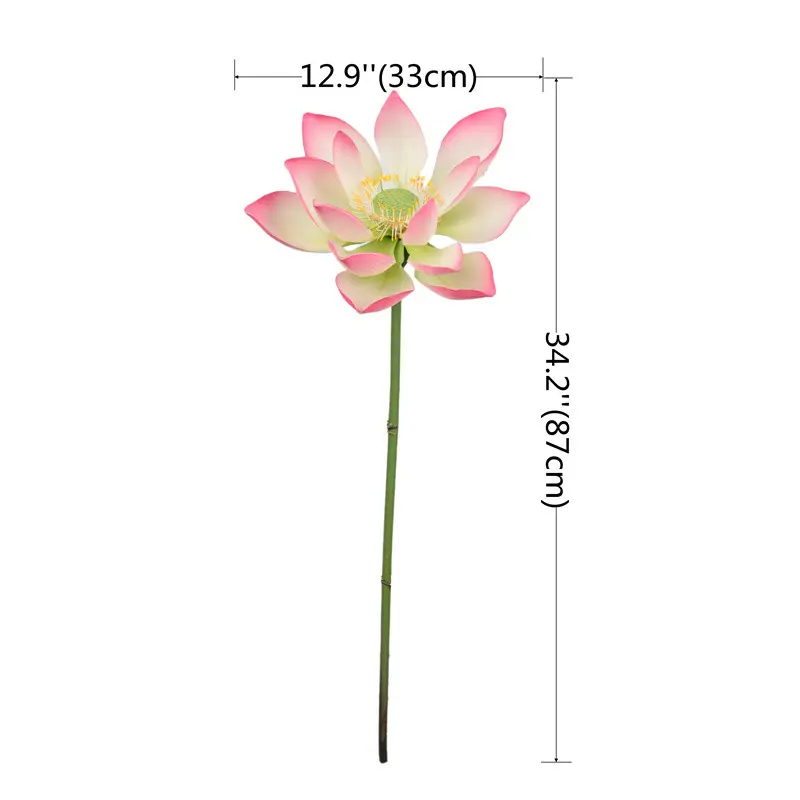 Lotus Flower Supplier for OEM